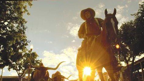 stockyards_herd-e1424799868536