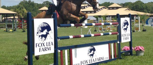 fox_lea_farm_jump