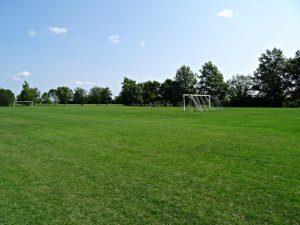 Cosmo Soccer Field
