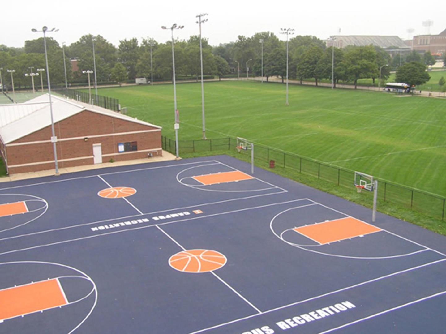 Champaign County Sports are in a League of Their Own
