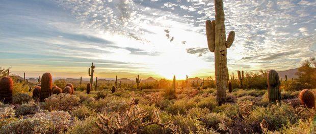 usery-mountain-photo-credit-visit-mesa-1