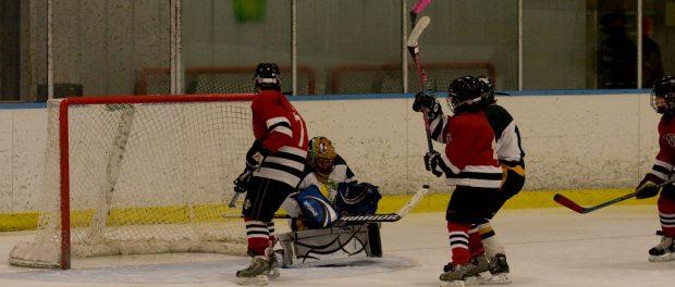 Youth hockey Youth hockey