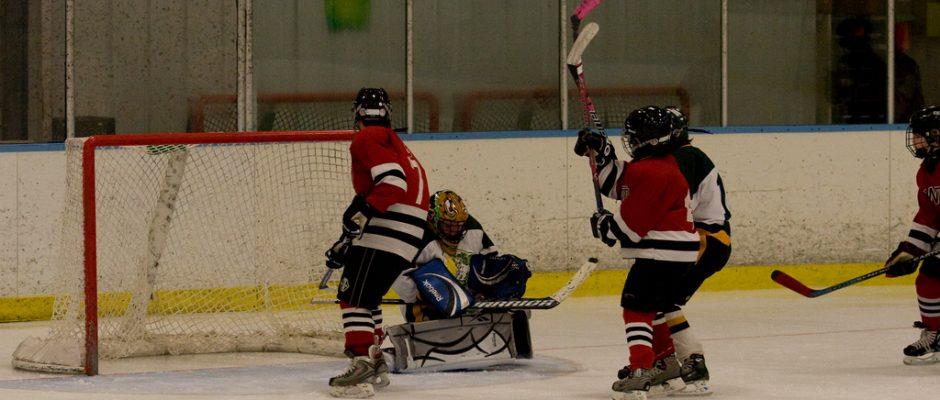 Youth hockey