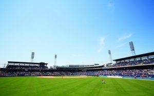 Harbor Park