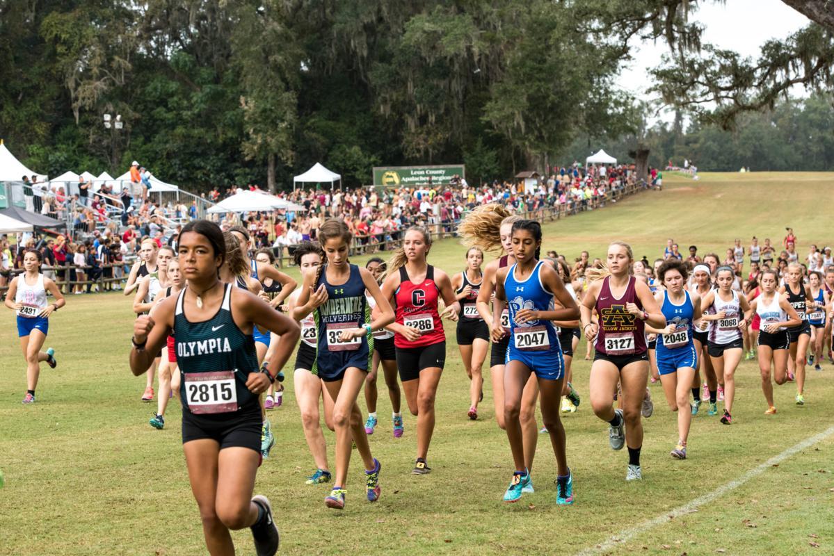 Enjoy spectacular sports venues in Tallahassee