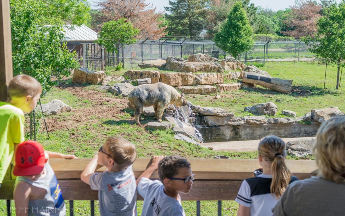 Rolling HIlls Zoo