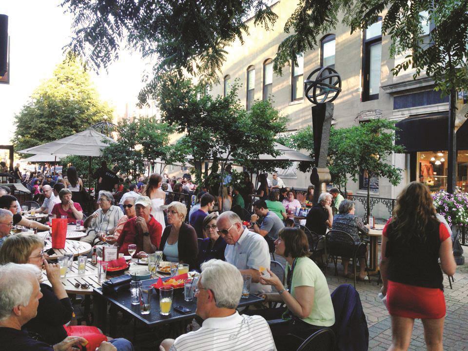 St Louis Zoo Military Discount Literacy Basics