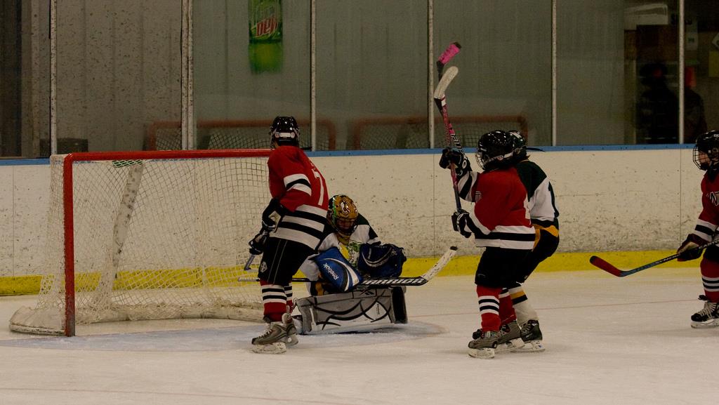 OneHockey Action Coming to DuPage County