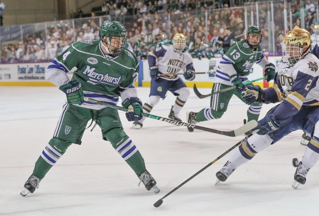 Erie, Pennsylvania A Premier Sports Destination