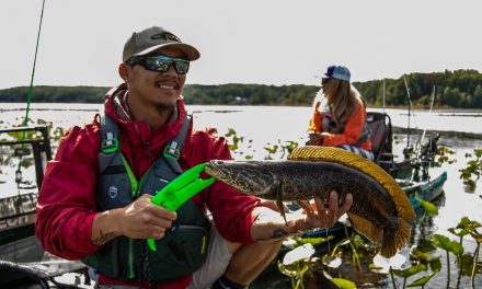 Stafford, SC Sports Facilities