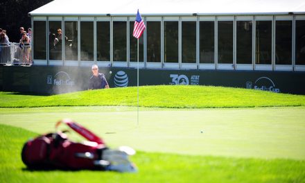 Arena Americas provides structural fix at Pebble Beach