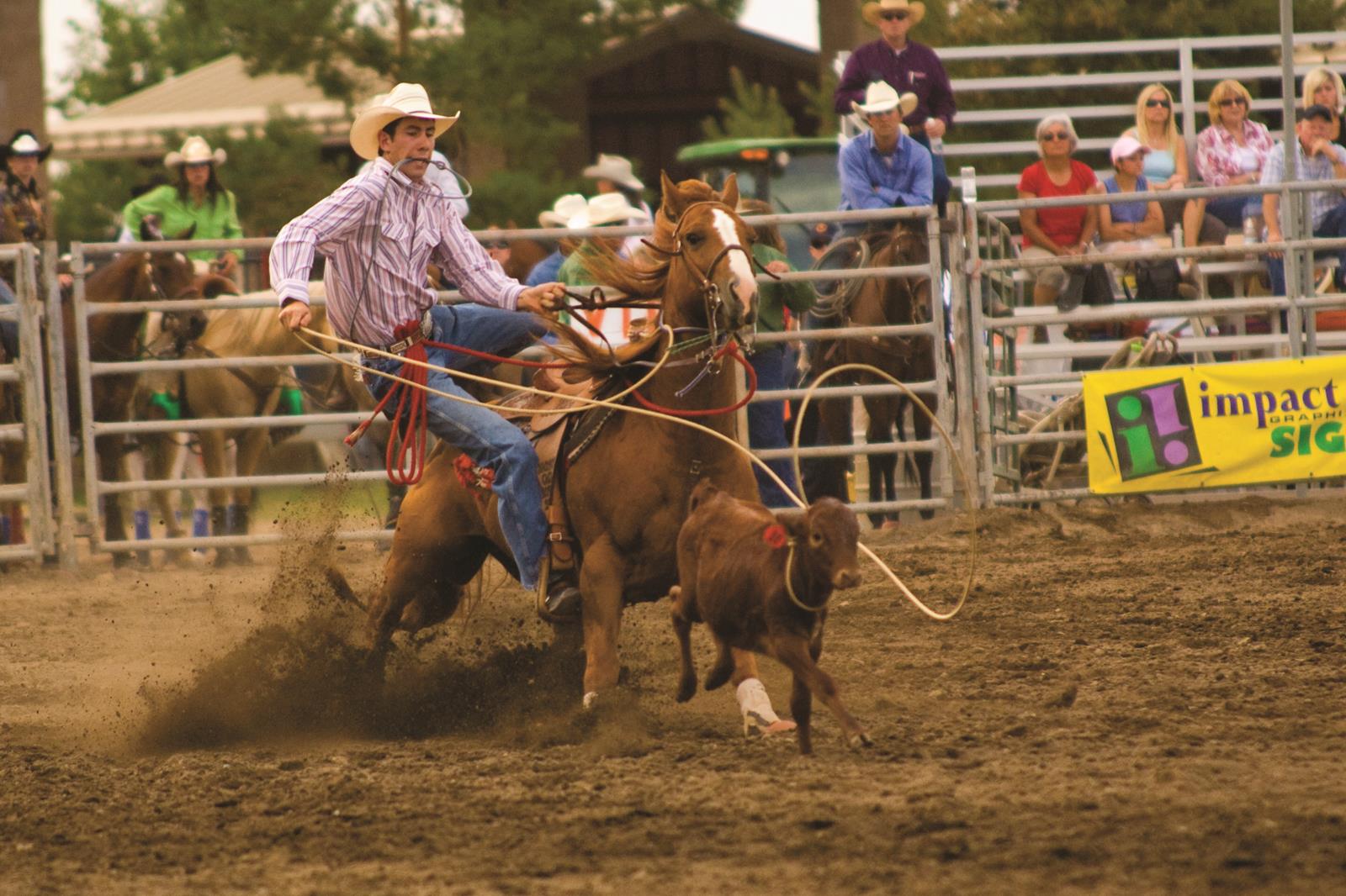 Deschutes Fair _ Expo-1