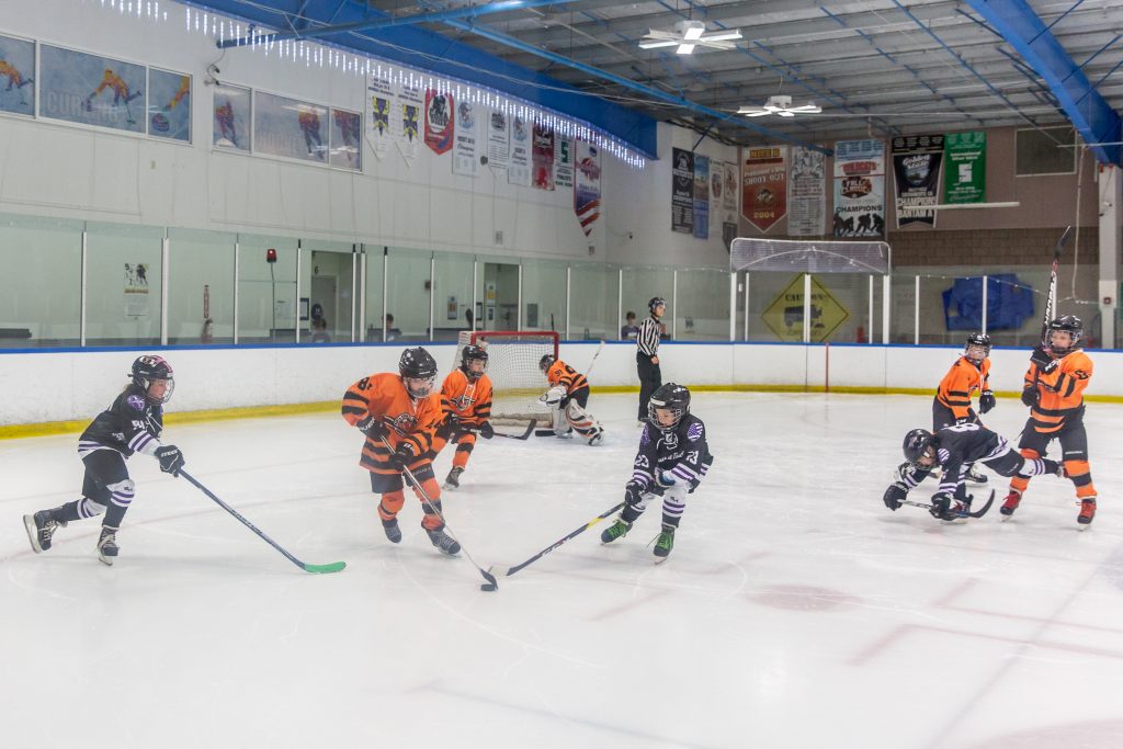 Skatetown Ice Arena Hockey