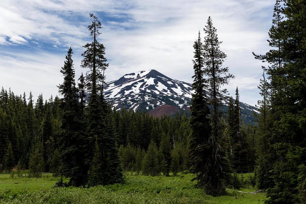 Through trees at Todd Lake, Central Oregon.