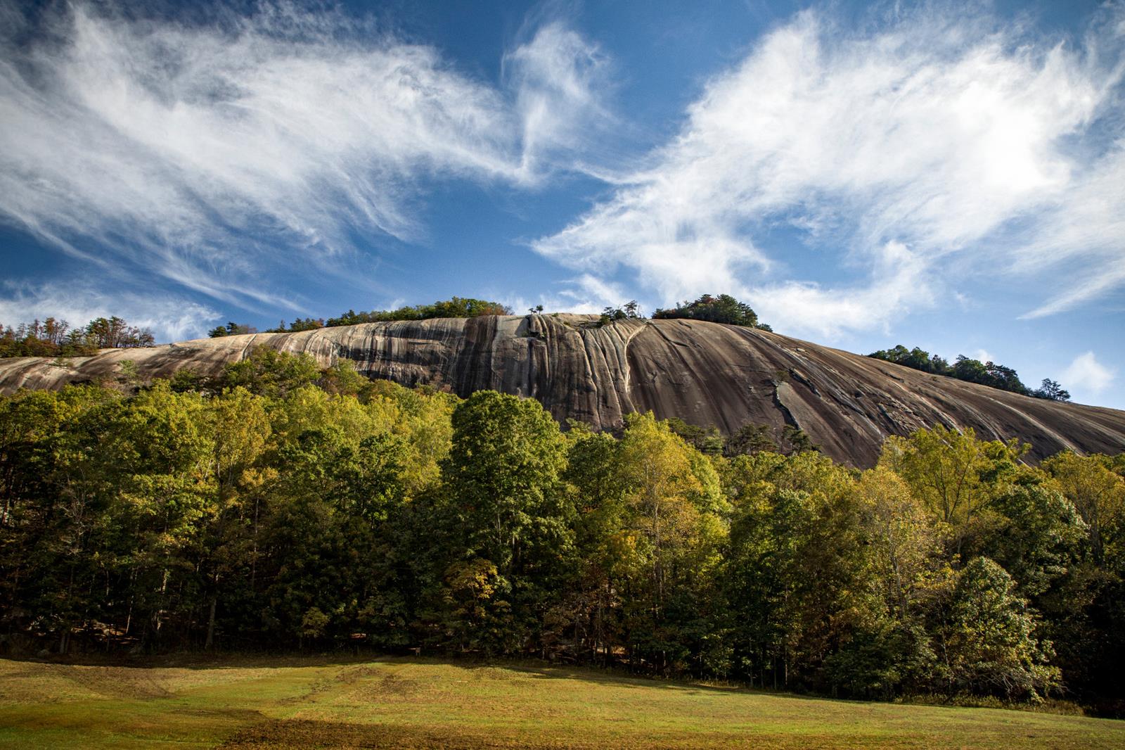 NCPN Stone Mountain State Park Roaring Gap Fall Trees