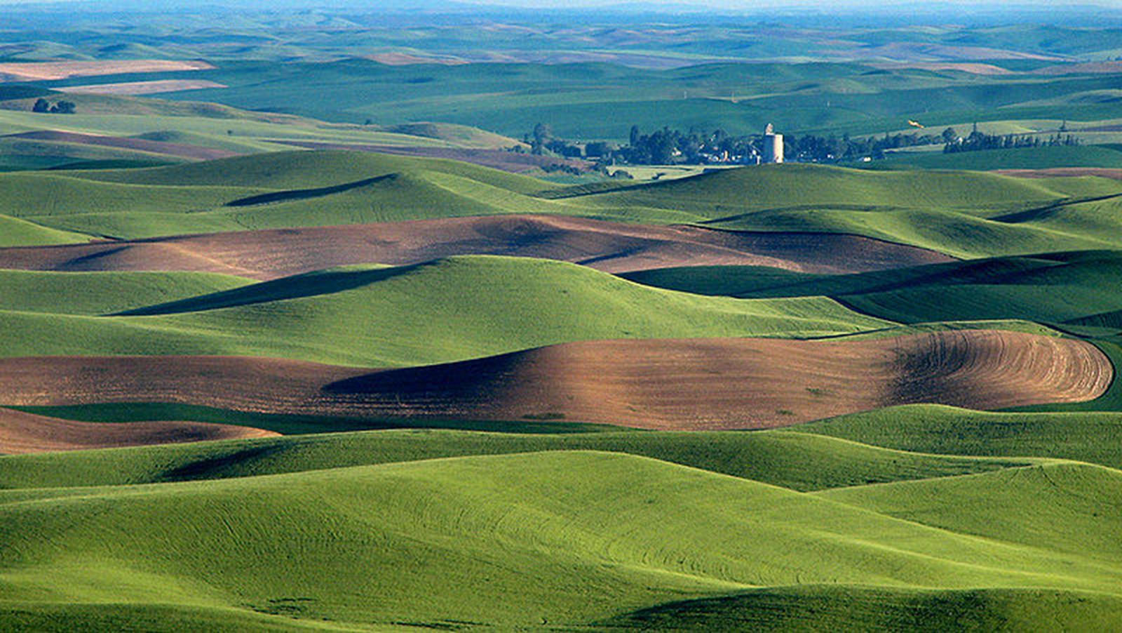 Palouse Hills