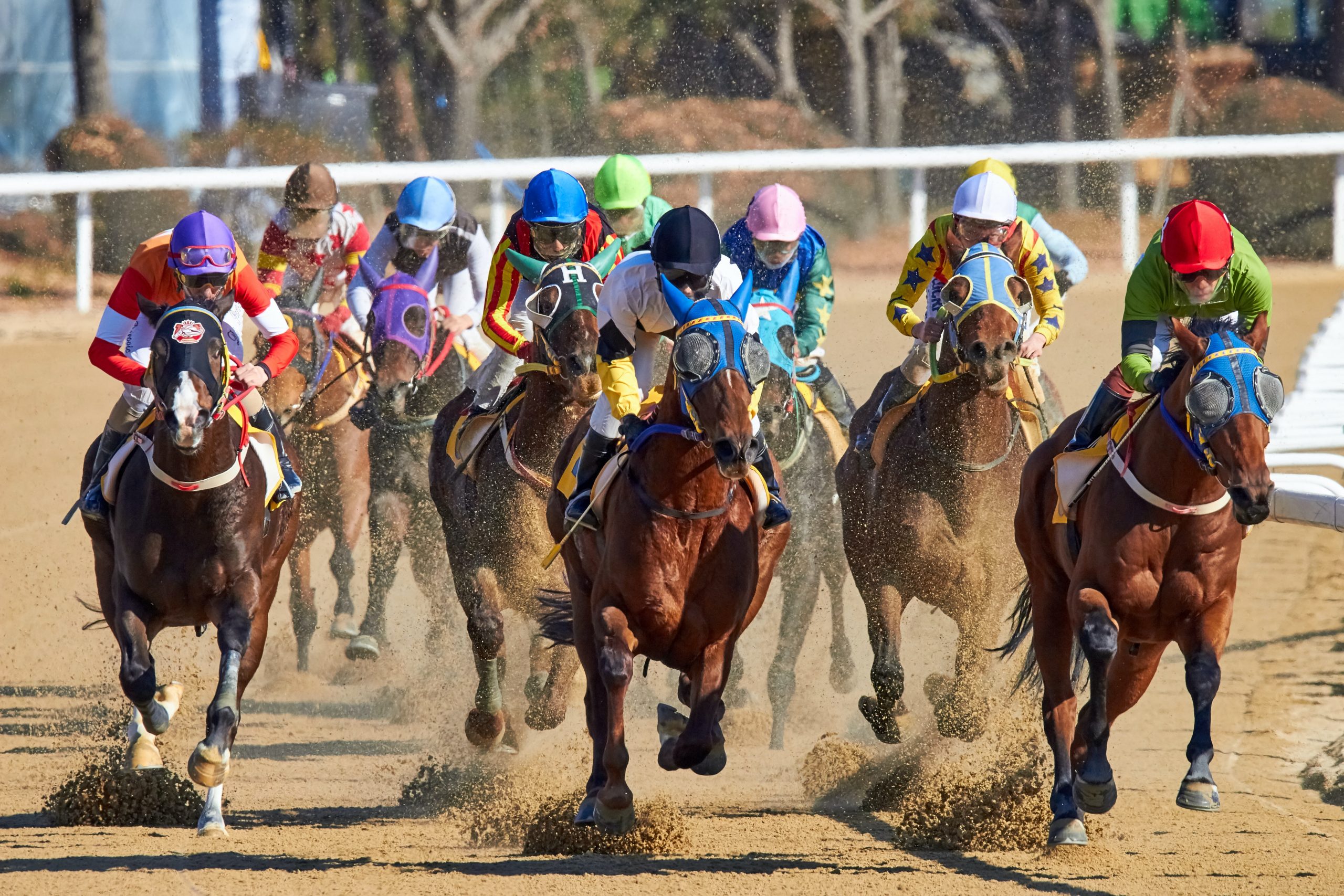Hawthorne Race Course to Move Forward with Casino Development