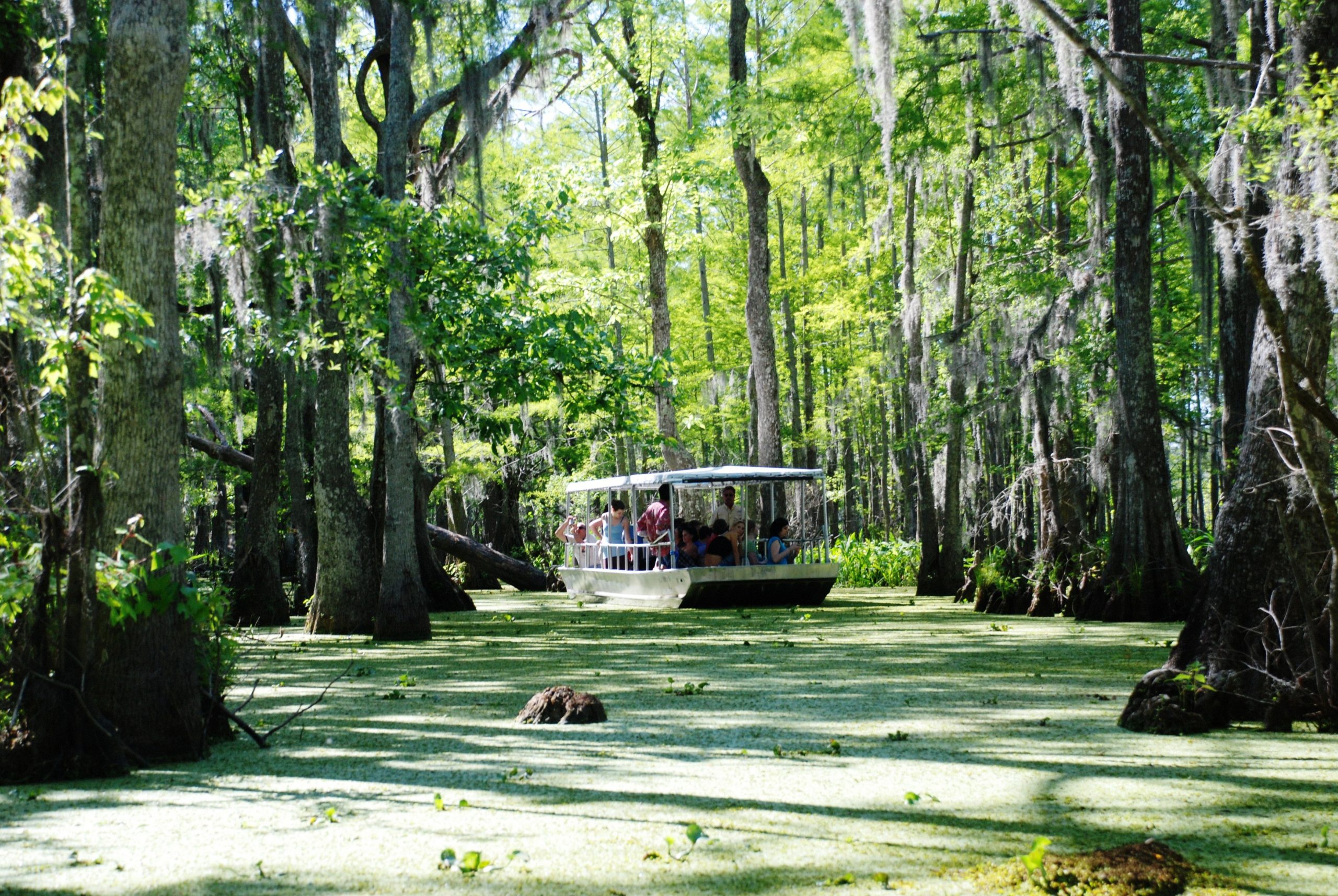 Louisiana Northshore St. Tammany Parish