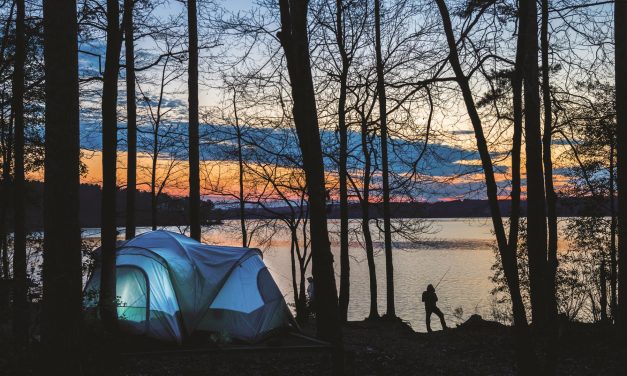 Camping and fishing on the shore of Badin Lake