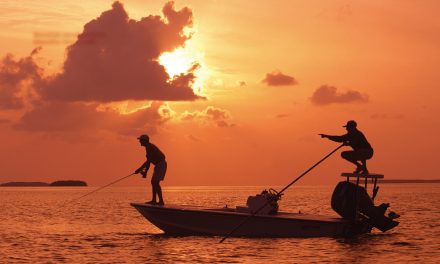 The Best Fishing and Boating Can Be Found in Florida