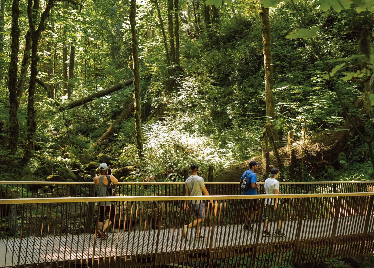 Rediscover the Outdoors in Oregon