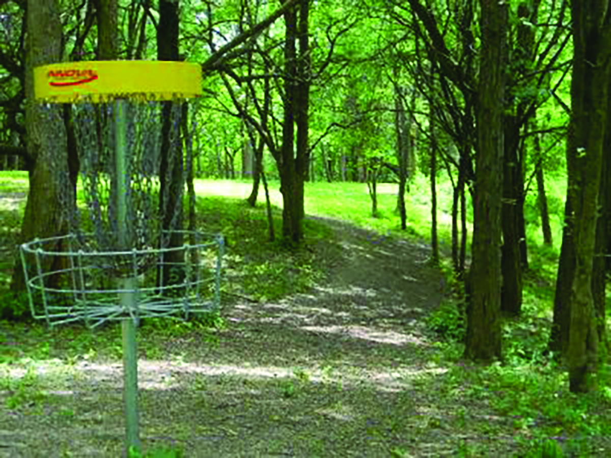 Disc Golf 05