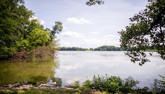 LAKE JACKSONVILLE