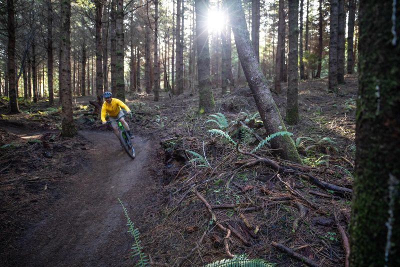 Whiskey Run Mountain Biking Trail