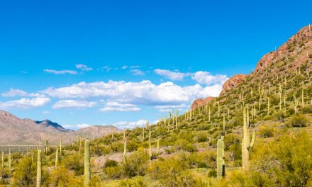 Get Outdoors and Get Adventurous in Arizona
