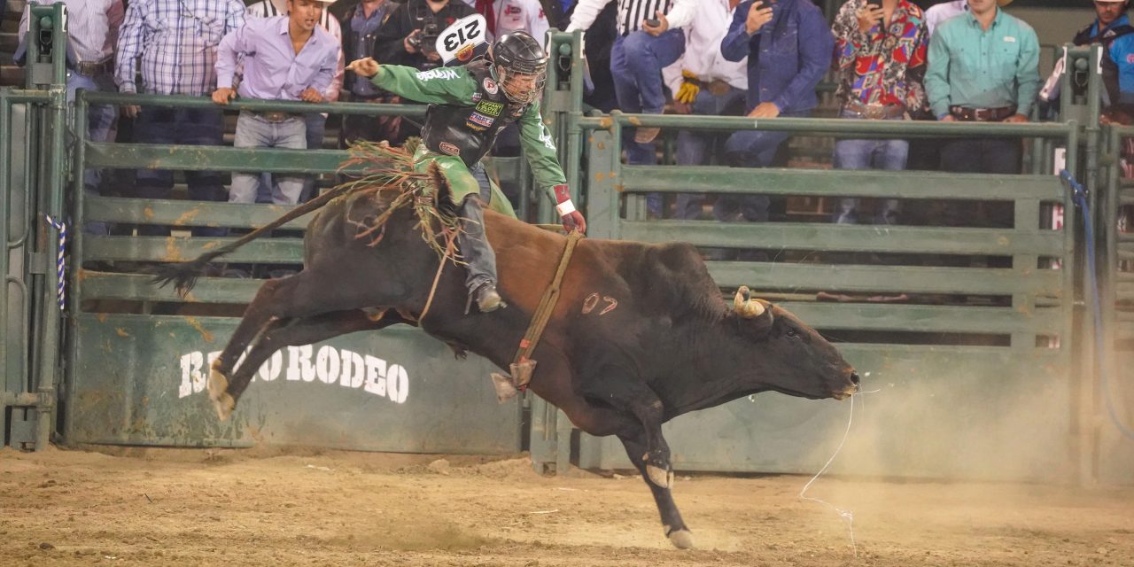 Bull riding in Reno