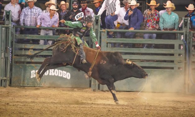 Bull riding in Reno