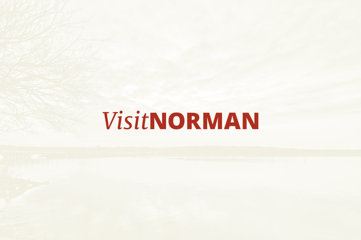Visit Norman logo
