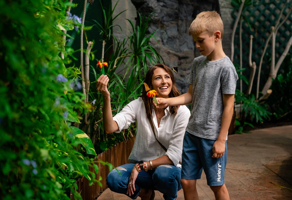 Butterfly House Sioux Falls