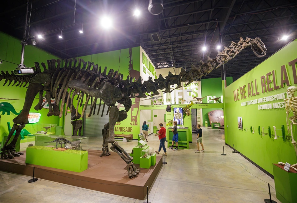 Indiana Dinosaur Museum