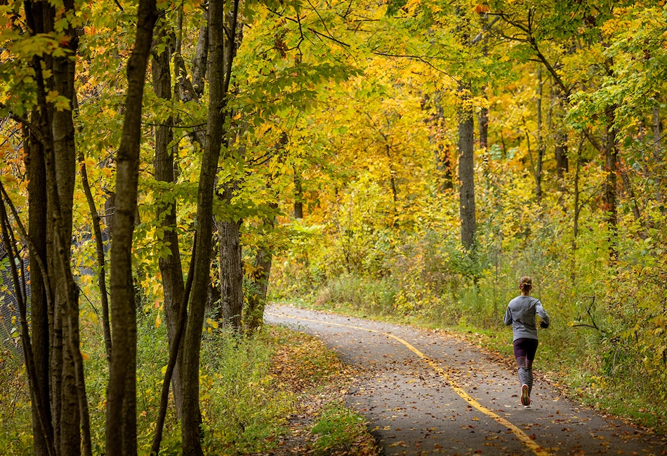 Busse Woods