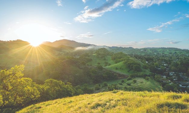 Walnut-Creek-Mt-Diablo