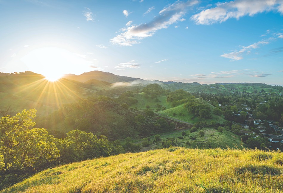 Walnut-Creek-Mt-Diablo