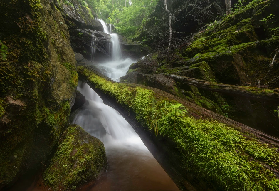 Virginia National Parks 