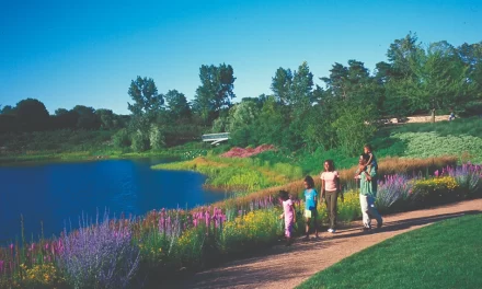 Outdoor Attractions in Illinois: Tranquil Gardens and Adventures