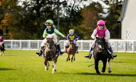 4 Amazing Maryland Sports Events