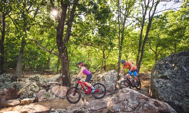Mt. Nebo Spring