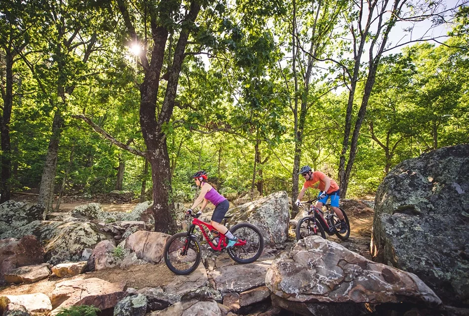 Mt. Nebo Spring