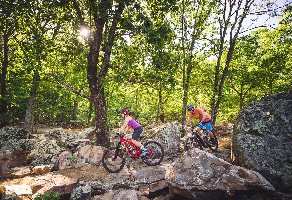 Mt. Nebo Spring