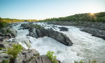 National Parks in Virginia Offer Captivating Scenery and History