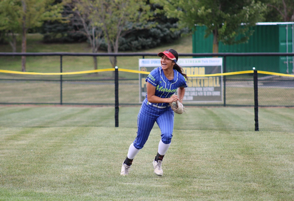 temporary softball fencing DuPage County