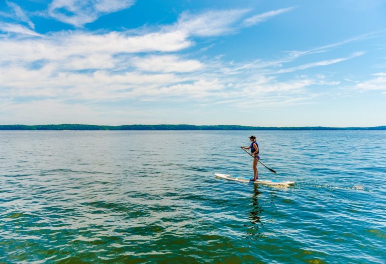 Kentucky lake 768x525