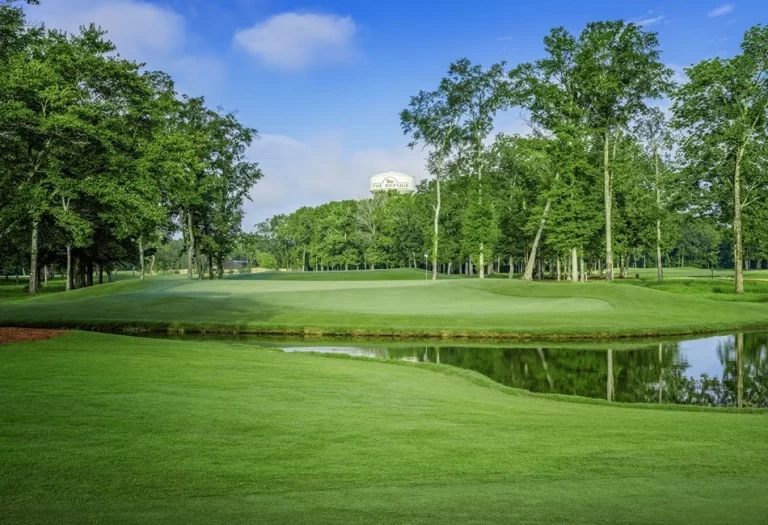 BFGnmsX0 1 1 768x525