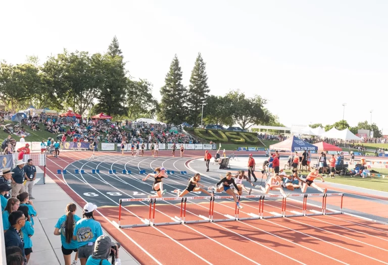 Buchanan Sports Complex 768x525