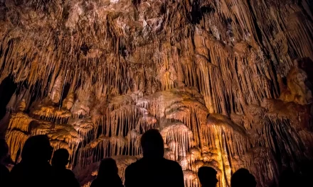 Louisiana has Options for Sports Facilities