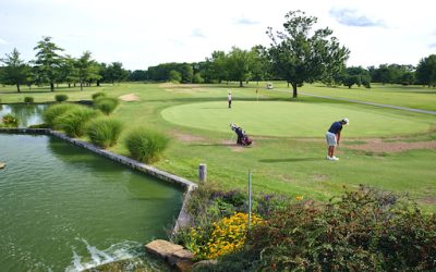 Disc Golf Courses Soar in Popularity